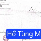 Bán đất trục đường kinh doanh đường 10,5m Hồ Tùng Mậu